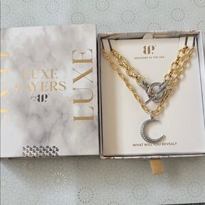 Luxe Gold and Silver Crescent Necklace